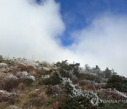 한라산 백록담에 핀 상고대와 푸른 하늘