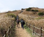 가을맞이 등산