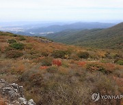 단풍 물들어가는 무등산