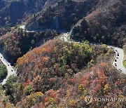 오색단풍 유명산에 행락 인파…국화·전통주 가을 축제장도 북적