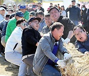 이천쌀문화축제 줄다리기 행사