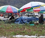 [날씨] 오전 짙은 안개…수도권 오후 한때 빗방울