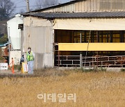 [포토]럼피스킨병 확진된 축산농가