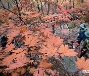 [오늘의 날씨]울산(23일, 일)…맑고 대기 건조