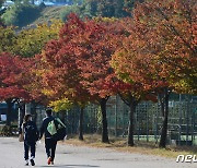 단풍 구경하는 캠퍼스 커플