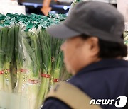 정부, 김장철 앞두고 대파 가격안정 유도