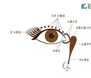 찬바람 불면 주루룩 '눈물흘림증', 원인별 치료법 찾아야