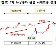 '또 주가조작'…이번엔 외국인 상장사 대표가 시세조종