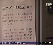 "밥 줘라" "안 된다" 길고양이 '주민 갈등'