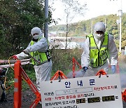 인천 강화도 축산 농가서 '럼피스킨병' 의심신고 3건‥정밀검사 의뢰