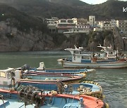 신안군 홍도 분교 입학.전학 가구에 매월 320만 원 일자리 제공