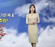 [날씨] 부산 퇴근길 기온 뚝↓…완연한 가을, 일교차 주의!