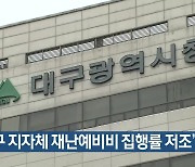 “대구 지자체 재난예비비 집행률 저조”