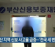 부산 지역 신보 사고율 급증…‘전국 세 번째’