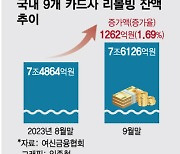 리볼빙 잔액 '7.6조'…2개월 연속 공시 이래 최대치