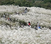 제주, 가끔 구름 많음…"큰 일교차 유의"