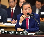 질의에 답하는 홍준표 대구시장