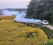 "럼피스킨 확산 막아라"…서산시 방역 총력