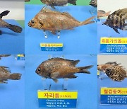 수과원, 독도의 날 기념 사진전·워크숍 개최