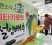 김장철 앞두고 배추 가용물량 2천900t 방출키로