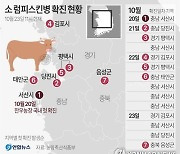 [연합시론] 방역인력 부족 속 가축전염병 확산, 근본대책 세워야