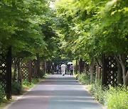 [광주 동구소식] 도시 숲 '푸른길', 대표보물로 선정