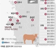 [그래픽] 소 럼피스킨병 확진 현황(종합)