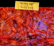 [포토] '독도의날' 맞아 영상 제작한 중학생들