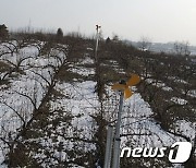 음성군, 기후대응농업분야 기술보급…농산물 품질 향상 성과