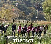 영양군, 반딧불이 서식처 확대 추진…애반딧불이 유충 방사