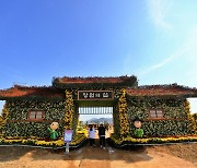 해안가 10만 송이 국화… 창원서 국내 최대 ‘국화축제’ 열려