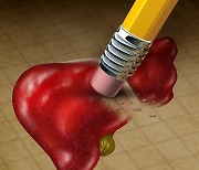 익히지 않은 조개·굴 먹다간… 가장 흔한 '이 간염'에 노출