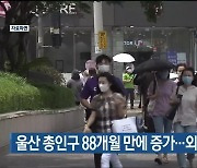 울산 총인구 88개월 만에 증가…외국인 유입 영향