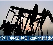 사우디 아람코 원유 530만 배럴 울산에 비축