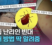 [크랩] 소문만 무성한 빈대…방역 전문가에게 팩트체크 해 봄!