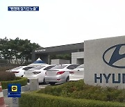 현대차 ‘혈액암 산재’ 인정…남은 과제는?