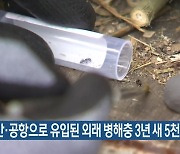 항만·공항으로 유입된 외래 병해충 3년 새 5천 건