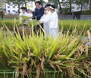 [포토] 농협중앙회, ‘어린이 농부들과 전통 가을걷이’