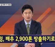 김명준의 뉴스파이터 오프닝 - 배추 방출