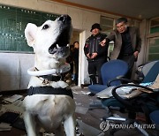 지진 대비 특수목적견 합동훈련