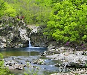 양구 9경 선정 위한 관광명소 후보지 20곳 선호도 조사