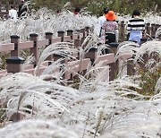 '환경·건강 챙기세요'…대구 달서구, 맨발걷기 대회 열어