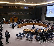 UN Security Council