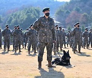 '육해공 통합' 군견훈련소 검토… 은퇴견 노후관리 강화