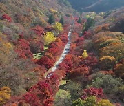 설악 물들인 단풍 절정...주요 산 단풍 절정기는?