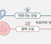 몸의 균형 잘 못 잡으면 치매 발생 위험 높아져