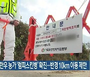 양구 한우 농가 ‘럼피스킨병’ 확진…반경 10km 이동 제한