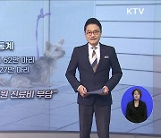 반려와 책임 [최대환의 열쇠 말]