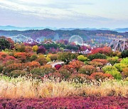 멀리 가지 않아도 짜릿하고 재미있는 단풍놀이