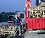 양꼬치라더니 고양이 고기였다…먹거리 논란 중국, ‘충격’